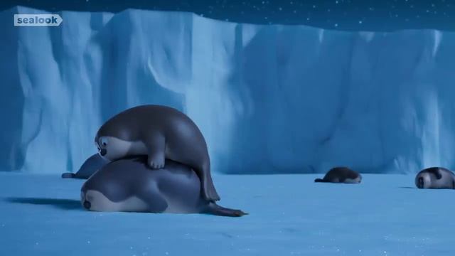 Морские Котики SEALOOK 85