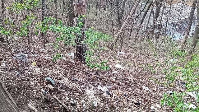 Многолетняя мусорная свалка в Курортной зоне Кисловодска! 17.04.2026 г.