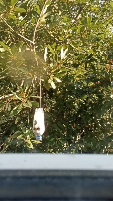 дом снимали в Сочи