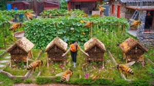 Метод разведения диких пчел в нескольких деревянных ульях — продажа дикого меда жителям деревни.