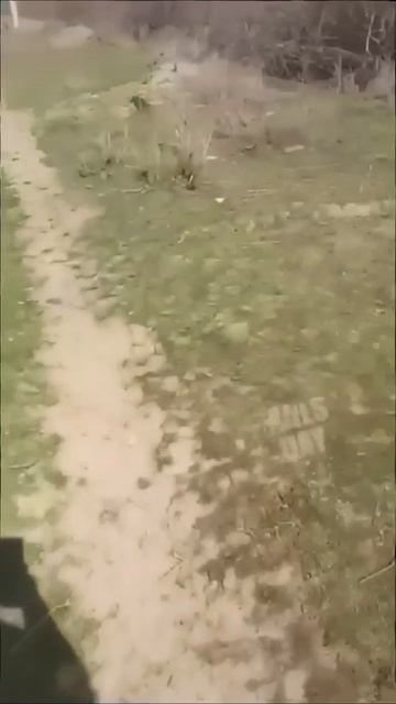 Учитесь в школе на отлично и не забывайте о физике.