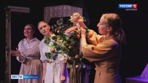 «Театр будет жить»: Горловский театр кукол выступил для костромичей