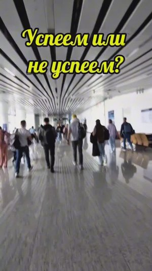 Как бюджетно и комфортно добраться во Вьетнам, чем кормят, раздают в полете южно-китайские авиалинии