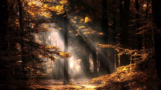 Тайны тайги  Истории про лес  Истории таёжных охотников  Охотничьи байки