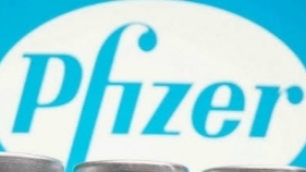 Pfizer 🇺🇸💲🇪🇺 Money/Money/Money 💶❗