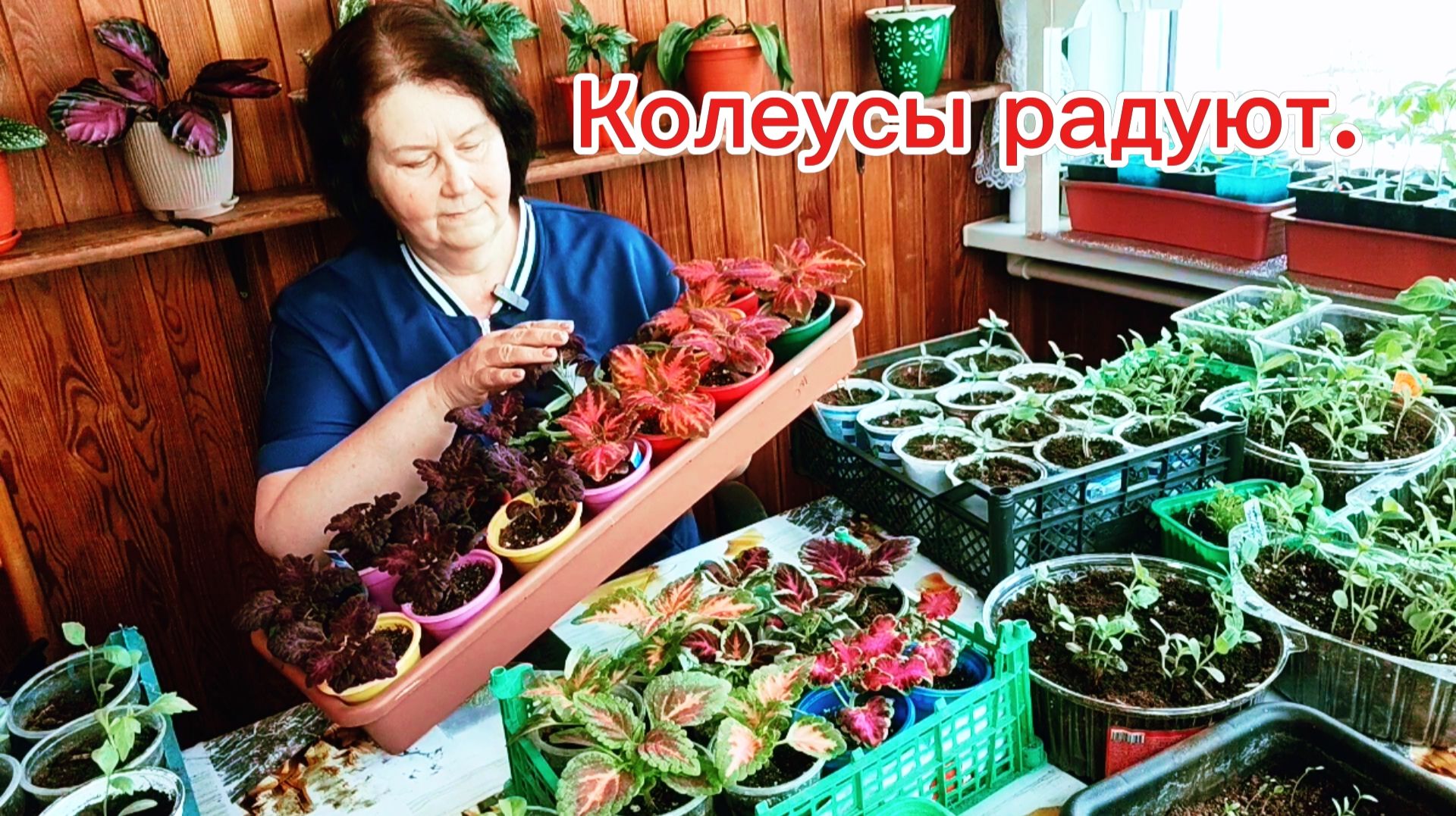 Не сидится мне дома,пошла в теплицу) снег идёт))