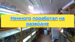 Немного поработал на разводне