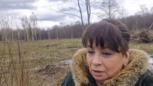 Ушла на болото. Что мне там нужно? Памятный день. Пеку медовый торт к празднику.