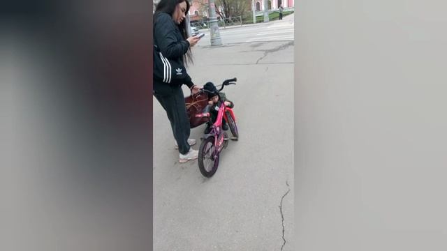 Цвета травли зелёный бордовый