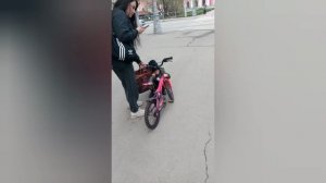 Цвета травли зелёный бордовый