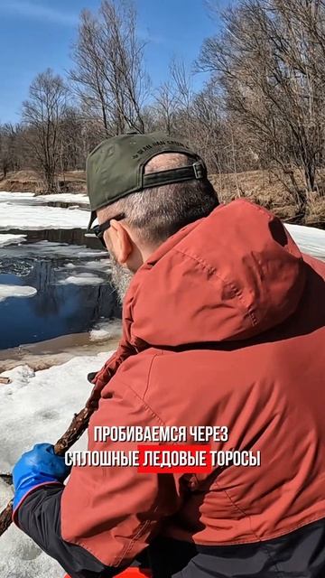 Кто тут главный?