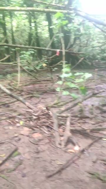 Hiking in French Polynesia Трекинг поход в горах Французской Полинезии Таити 2026 апрель