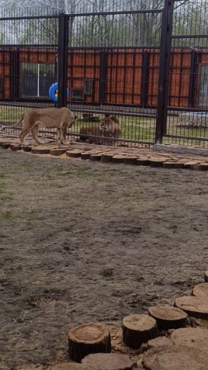 Лежишь, внимания не обращаешь?Я обиделась!