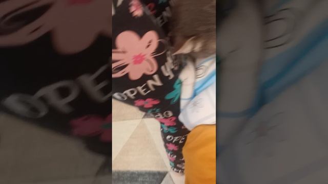 VID_20260417_115509.mp4