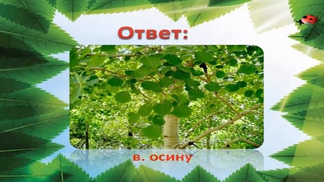 Экологическое ассорти видео викторина для детей