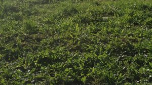 как сделать ракету