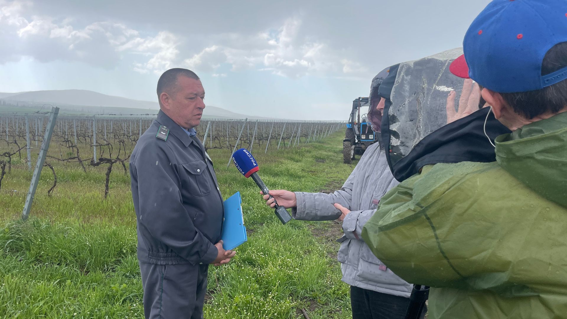 Россельхознадзор контролирует учёт виноградников