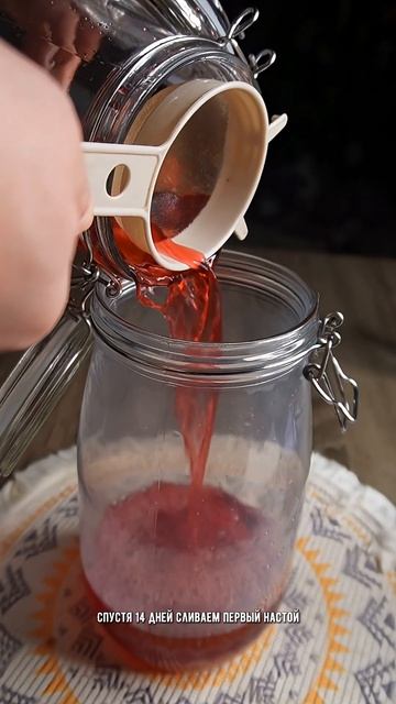 Настойка на клюкве — идеальный рецепт и ингредиенты. Клюковка с медом и корнем калгана.