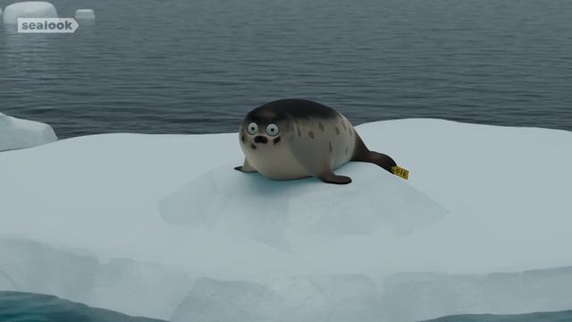 Морские Котики SEALOOK 28