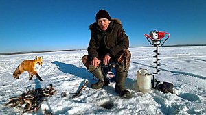 Рыбалка на окуня зимой на мормышку.