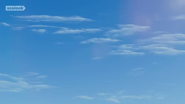 Морские Котики (SEALOOK) (123)