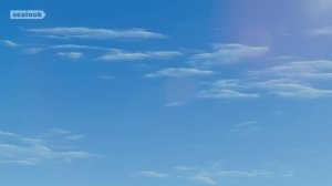 Морские Котики (SEALOOK) (123)