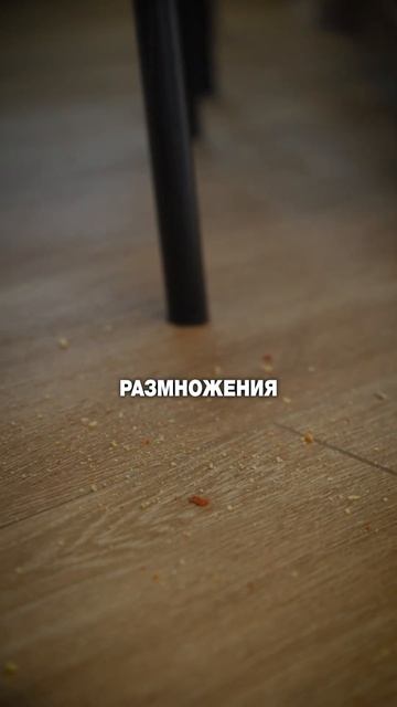 Kärcher - чистота которой доверяют