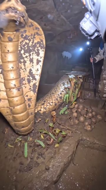 Древние цивилизации