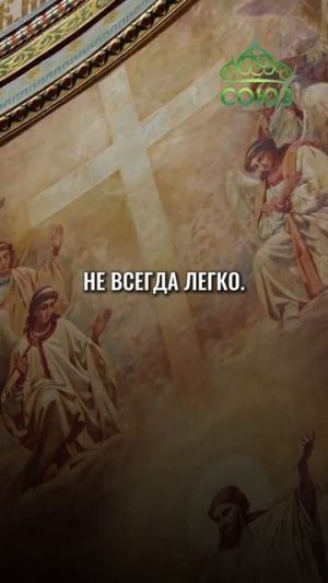 Слово дня - Воля