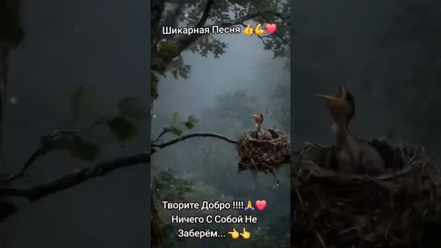 Никогда не падать духом