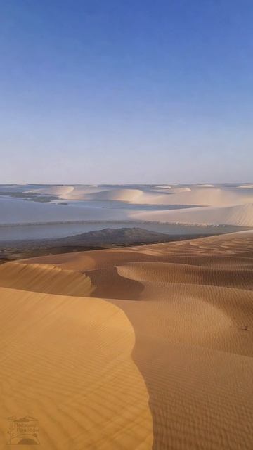 Среди песков