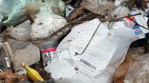 Санитарно-экологический двухмесячник