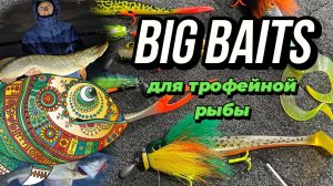 BIG BAITS входной билет в мир трофейной рыбы | Старт серии