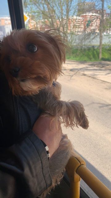 место никто не уступает