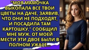 Моя мамочка выкопала все твои цветы на даче, заявив, что они не подходят, и посадила там картошку!