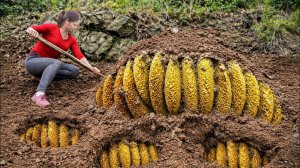 Собираем урожай с десятков ульев... а потом жарим пчелиных личинок!