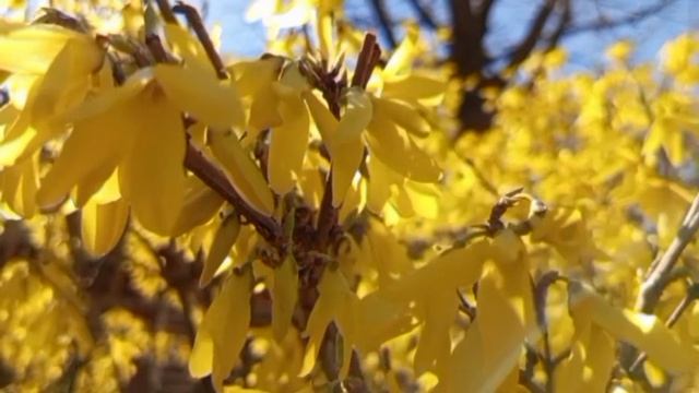 ИННА СУДАКОВА ЧТОБ ВАС ВСЕХ УНЕСЛО...