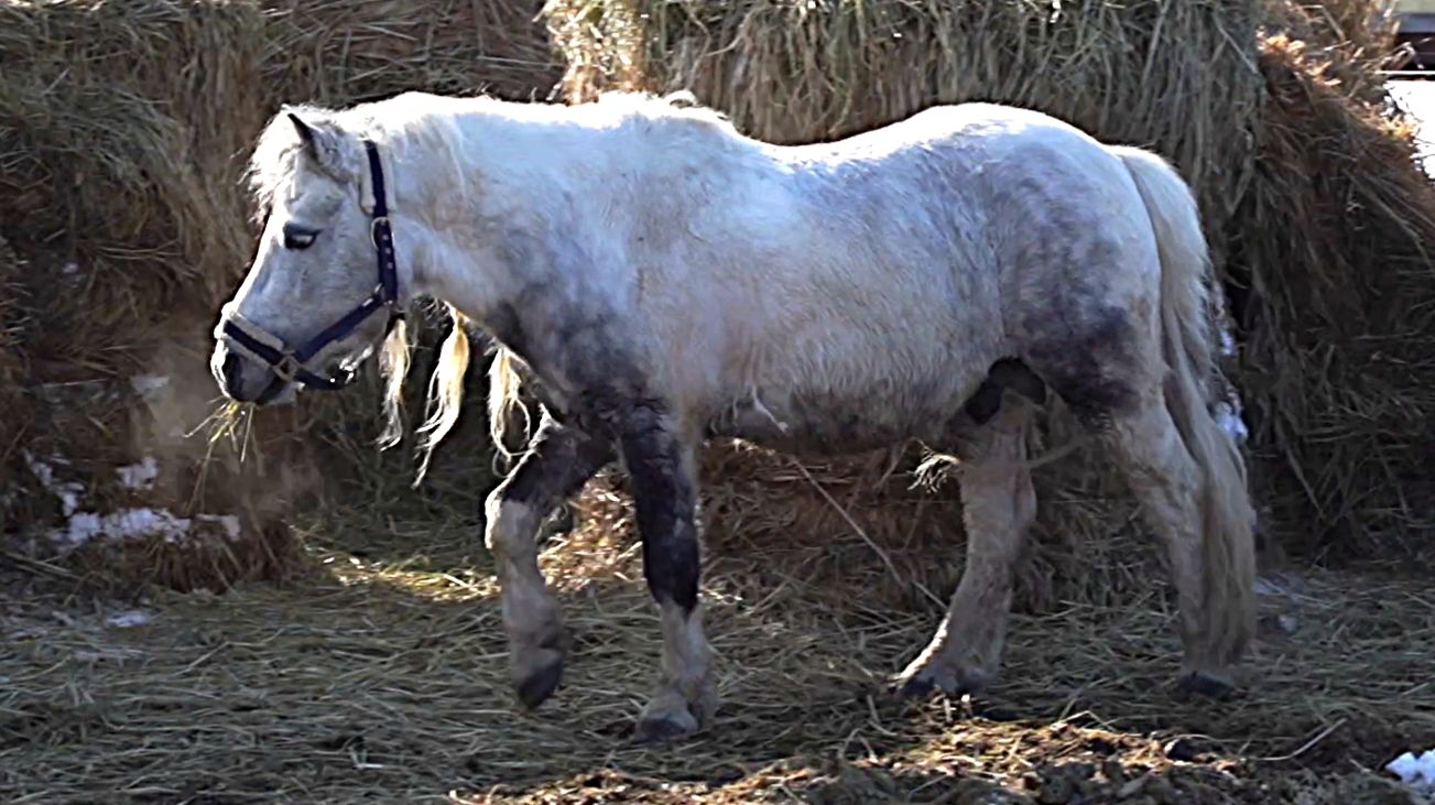 Большая область | 18.04.2026