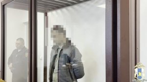 На Сахалине взят под стражу мигрант-нелегал, ранивший ножом земляка и попытавшийся улететь на родину