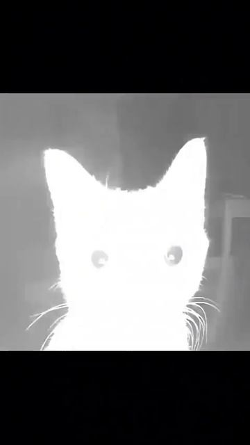 мужик завлачет