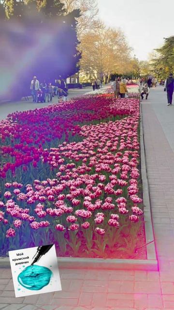 Настроение - желтые тюльпаны ОуоооВесна в Севастополе севастополь тюльпаны весна крым