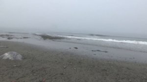 Полуостров Рыбачий часть 12 Мыс Скорбеевский