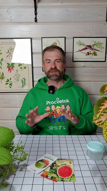 Вырастить сладкие сочные арбузы проще простого, если посеять так!