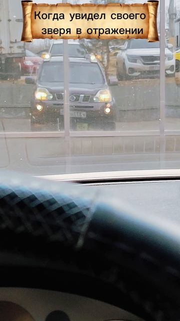 Мой зверь, мои правила