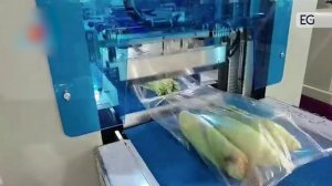 Автоматический упаковщик Flow-Pack TCZB-700