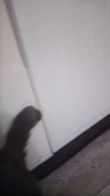 можете пожалуйста на меня подписаться мне 10 лет  я только начал снимать  напиш в коммент чт снимать