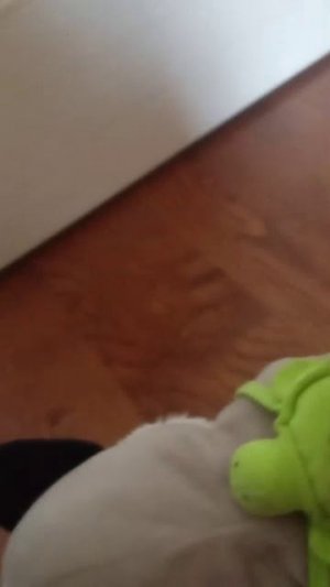 абзор на всё🐶😎