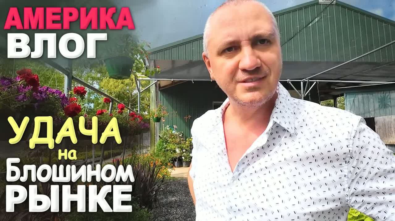 Не ожидали, но получилось! Новые идеи, Насыщенный влог) Закупка на блошином рынке и в питомнике Влог