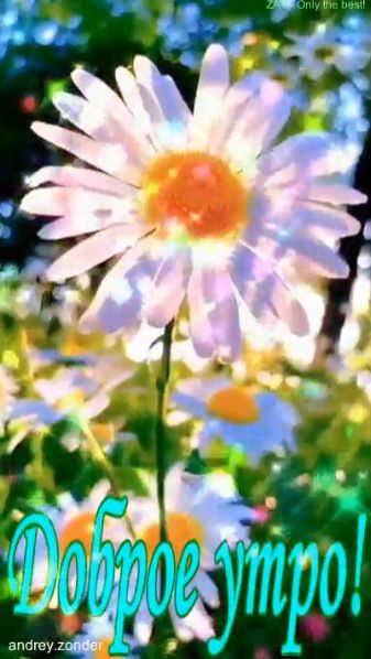 Доброе утро! Яркого дня! доброеутро