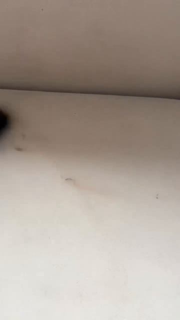 ХИМЧИСТКА ДИВАНА МУРМАНСК ОТ ПРОФ КЛИН